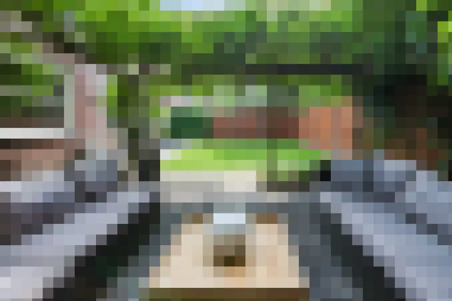 Sprinkhaan 27 Hengelo thumbnail 51