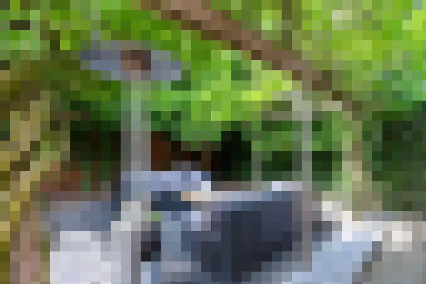 Sprinkhaan 27 Hengelo thumbnail 52