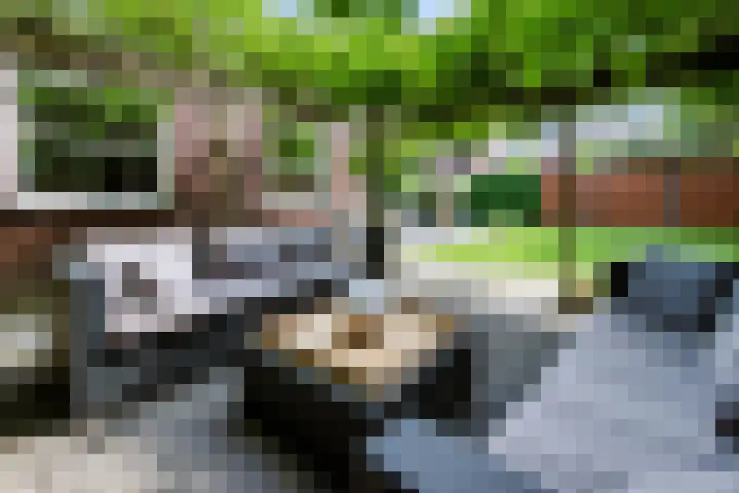 Sprinkhaan 27 Hengelo thumbnail 53