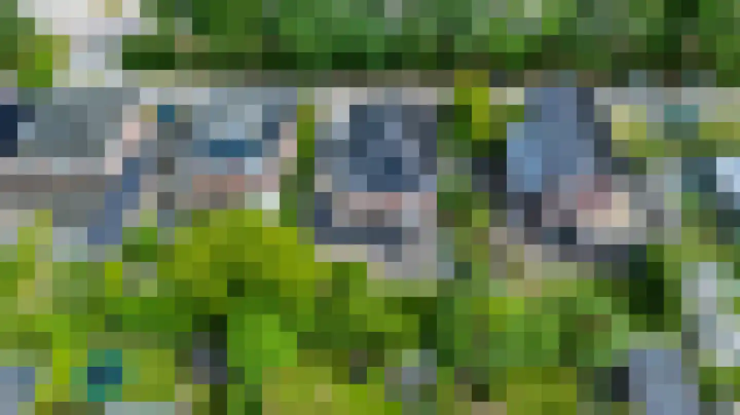 Sprinkhaan 27 Hengelo thumbnail 56