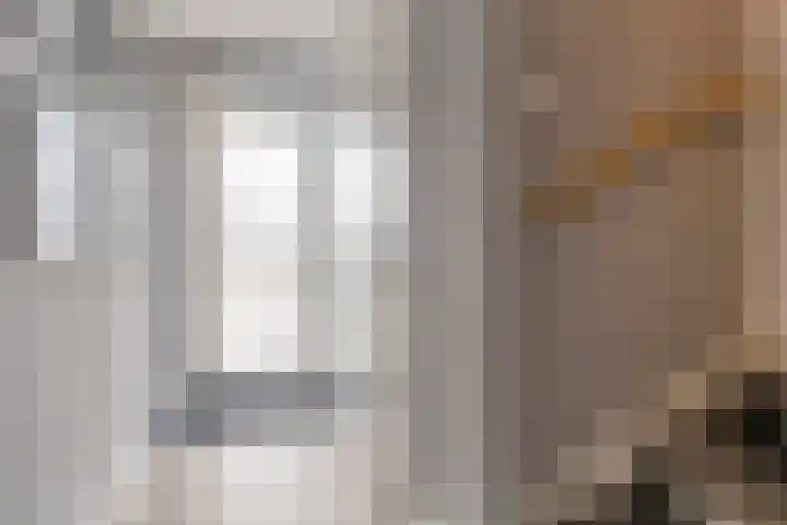 Sprinkhaan 8 Hengelo thumbnail 10