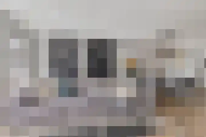 Sprinkhaan 8 Hengelo thumbnail 15