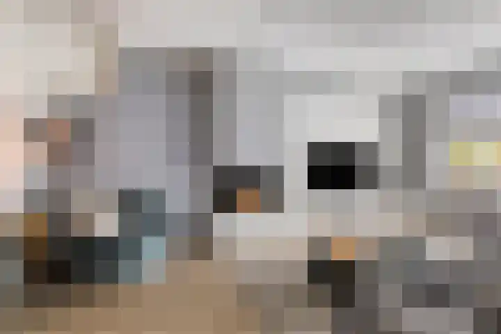 Sprinkhaan 8 Hengelo thumbnail 16
