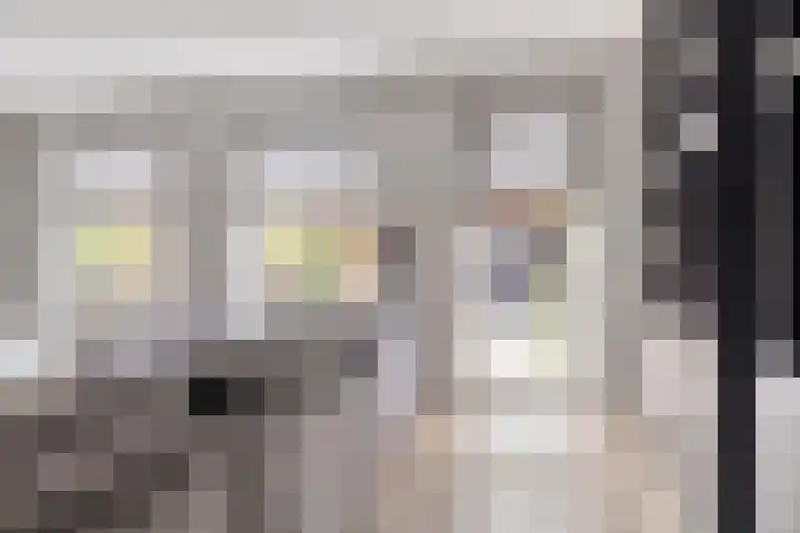 Sprinkhaan 8 Hengelo thumbnail 17