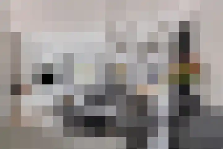 Sprinkhaan 8 Hengelo thumbnail 19