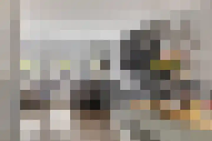Sprinkhaan 8 Hengelo thumbnail 21