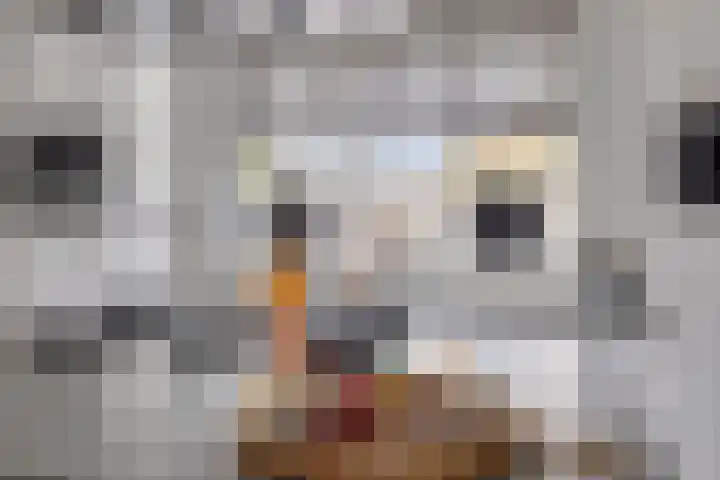 Sprinkhaan 8 Hengelo thumbnail 22