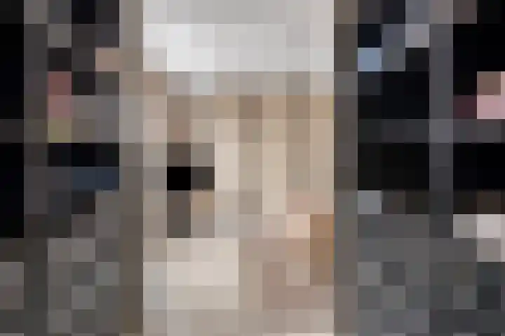 Sprinkhaan 8 Hengelo thumbnail 30