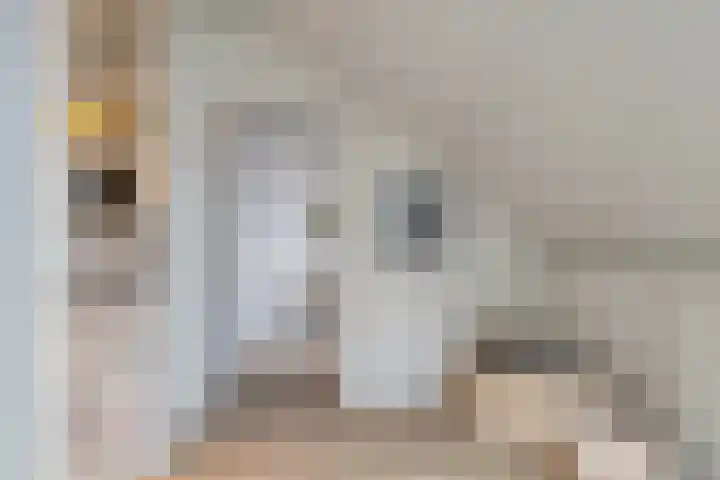 Sprinkhaan 8 Hengelo thumbnail 38
