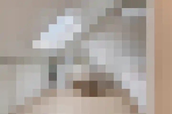 Sprinkhaan 8 Hengelo thumbnail 39