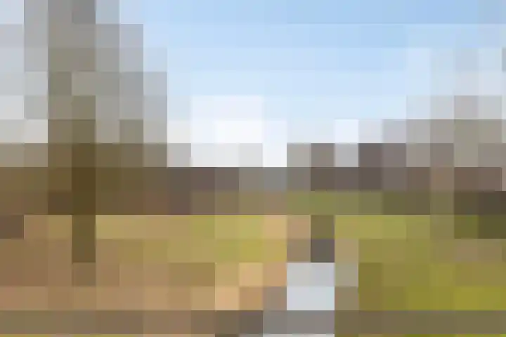 Sprinkhaan 8 Hengelo thumbnail 46