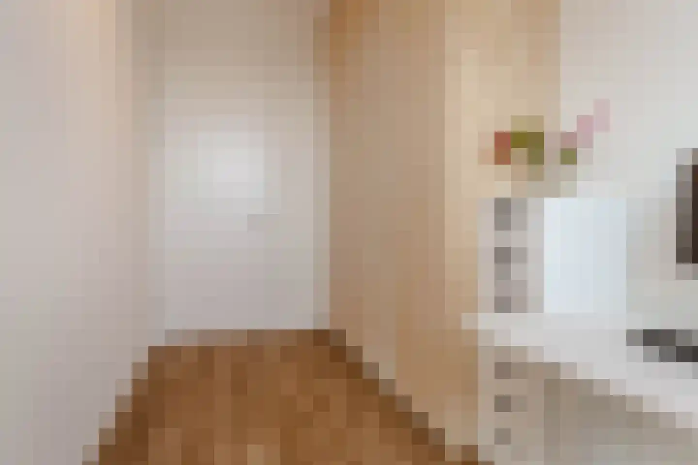 Sprinklerstraat 51 Amsterdam thumbnail 18