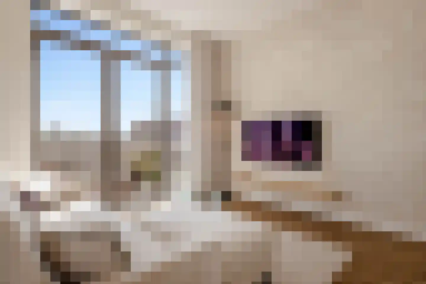 Sprinklerstraat 51 Amsterdam thumbnail 5