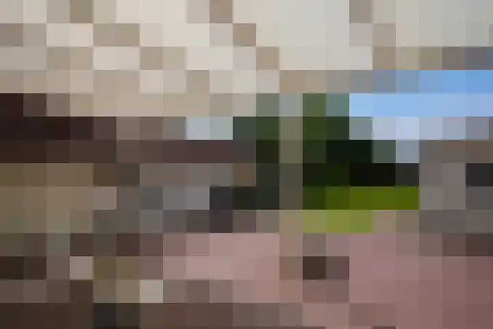 Sprinkstraat 34 Margraten thumbnail 20