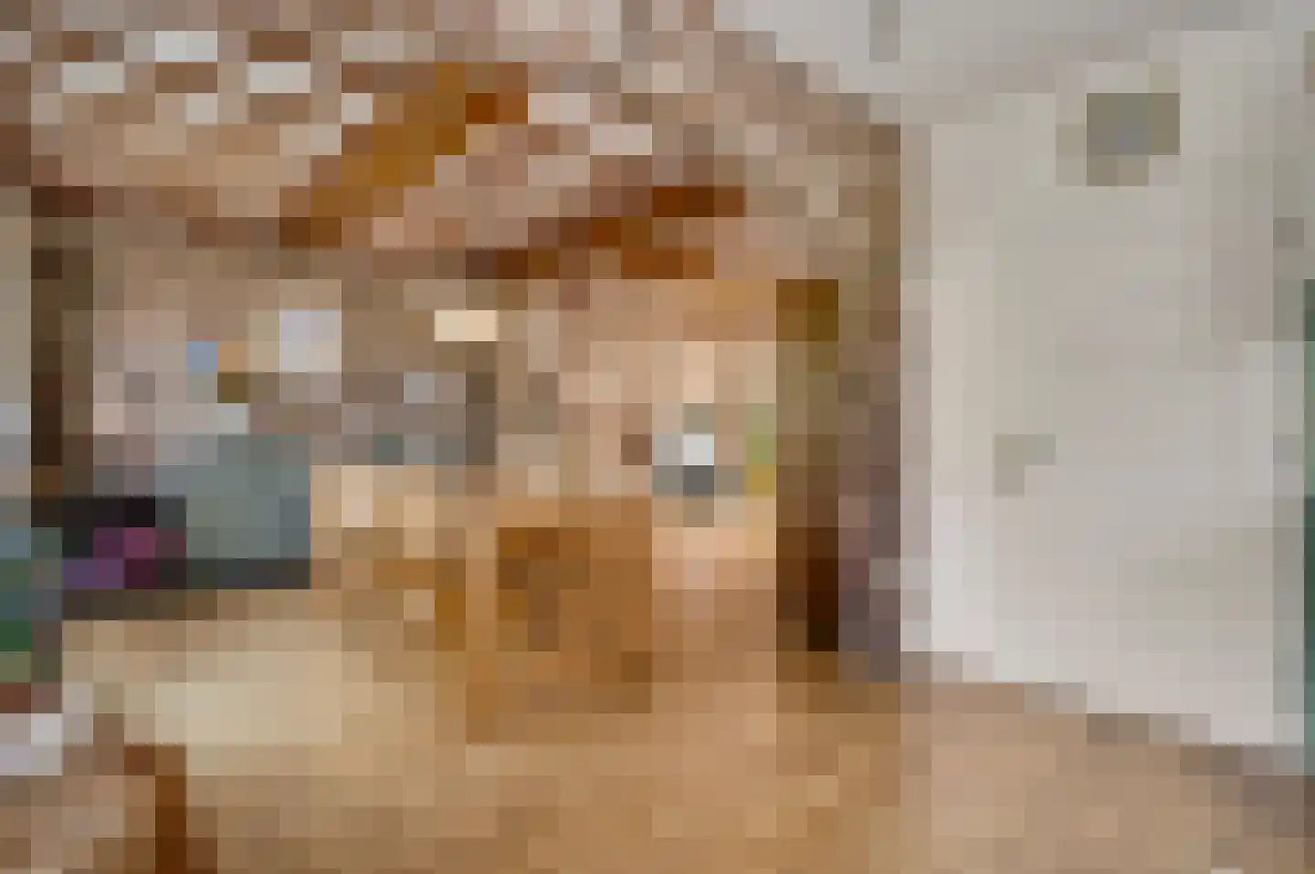 Sprinkstraat 93 Margraten thumbnail 11