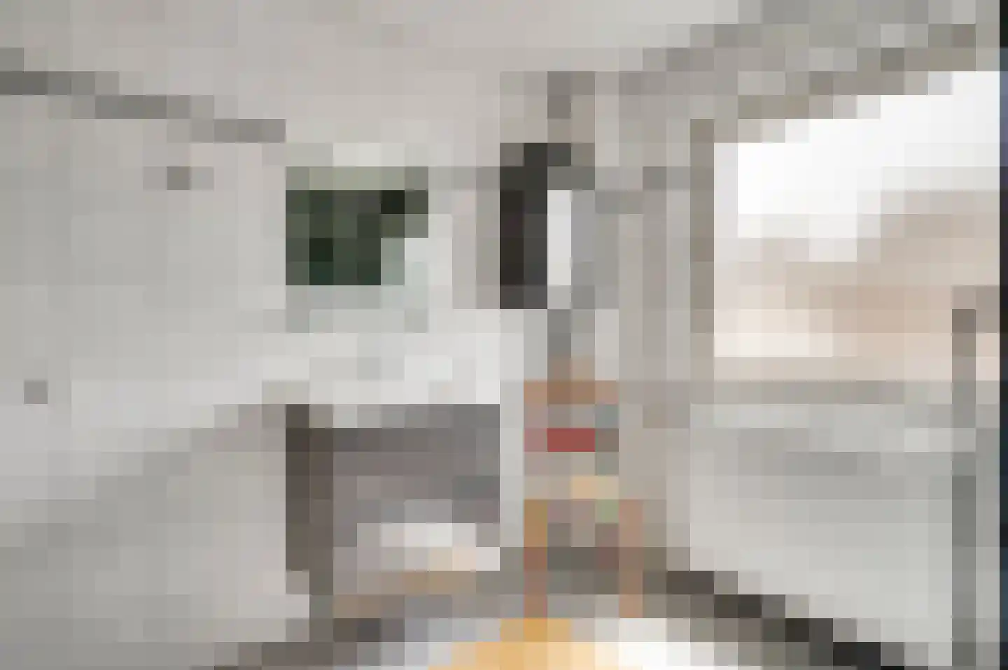 Sprinkstraat 93 Margraten thumbnail 18