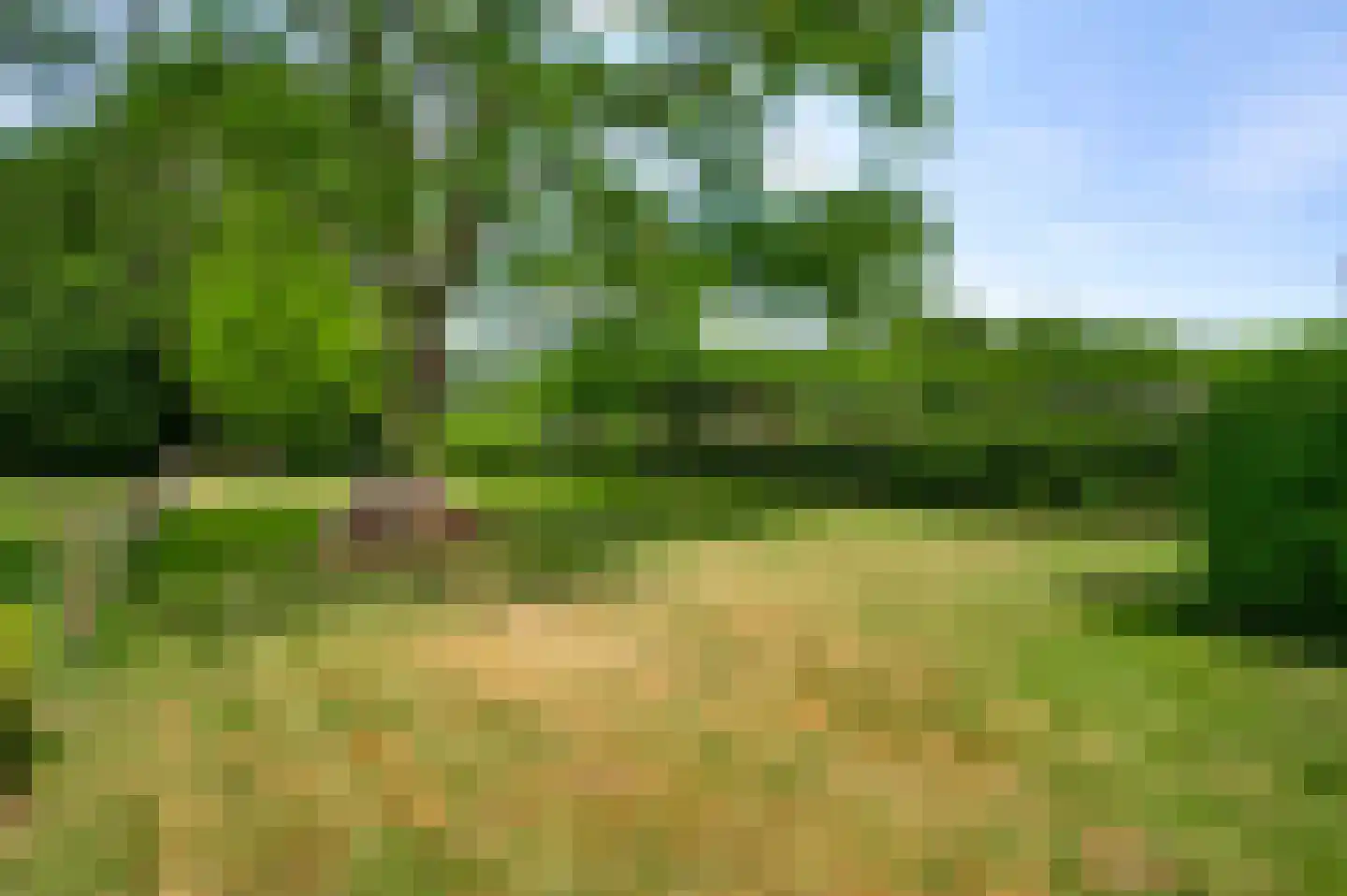 Sprinkstraat 93 Margraten thumbnail 26