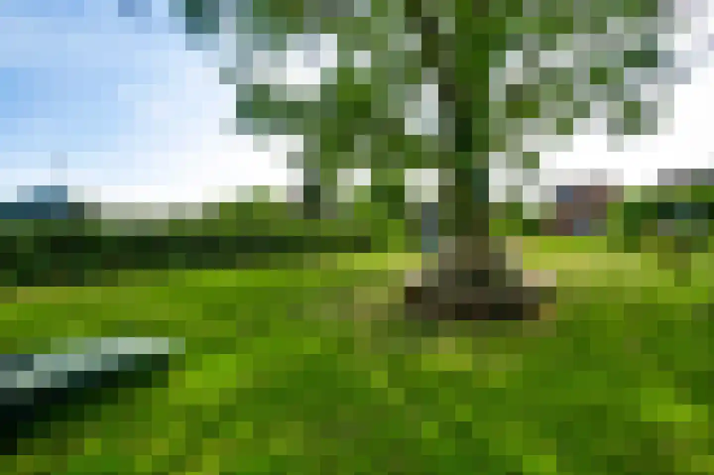 Sprinkstraat 93 Margraten thumbnail 27