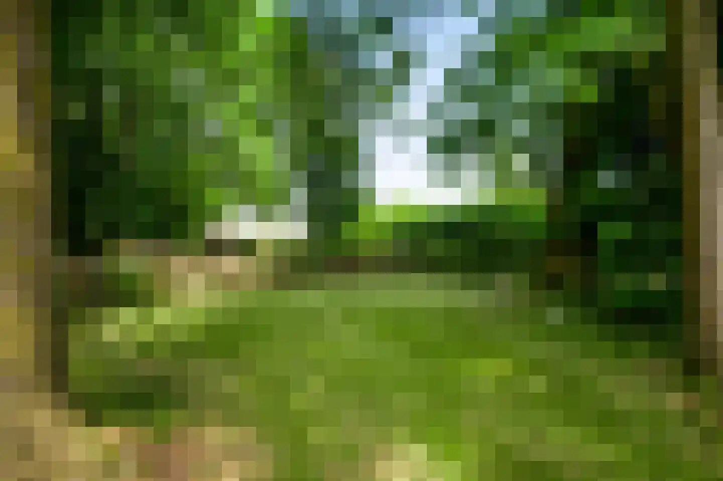 Sprinkstraat 93 Margraten thumbnail 29