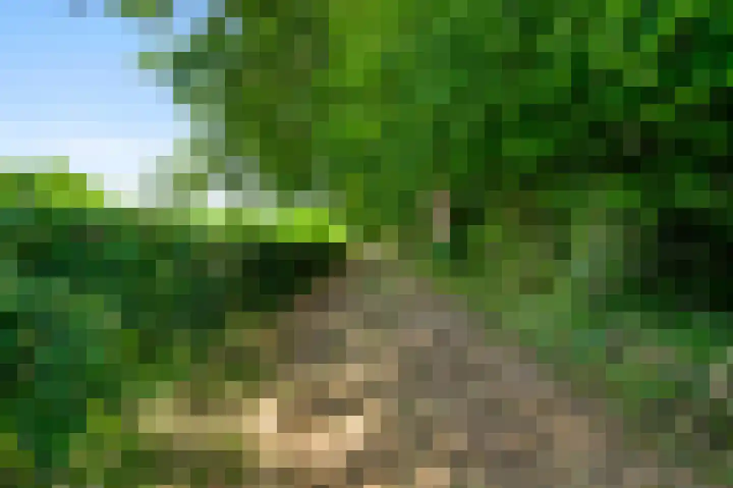 Sprinkstraat 93 Margraten thumbnail 30