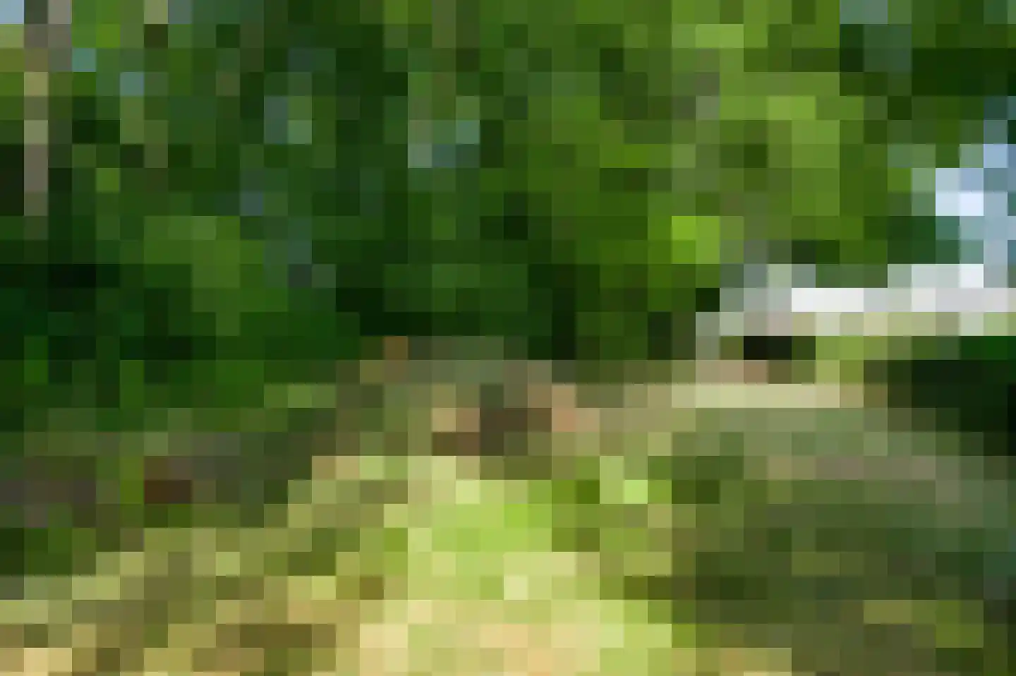 Sprinkstraat 93 Margraten thumbnail 31
