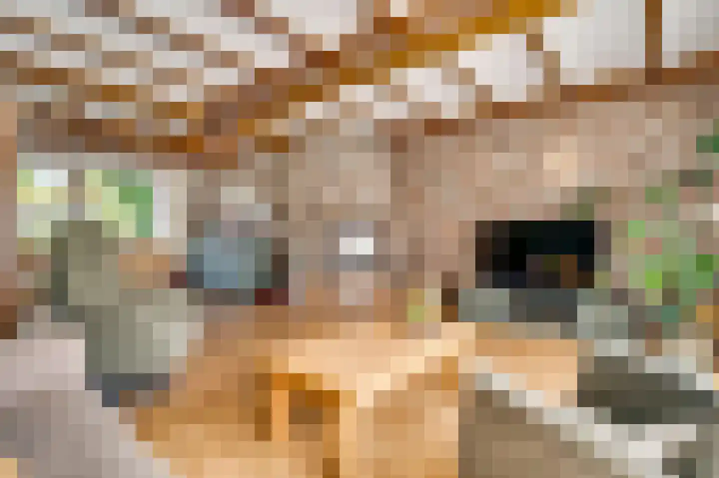 Sprinkstraat 93 Margraten thumbnail 4