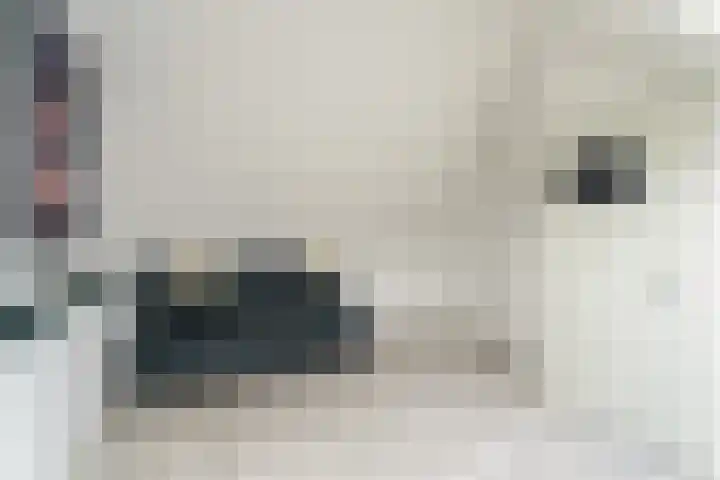 Sprokenpad 2 Amersfoort thumbnail 21