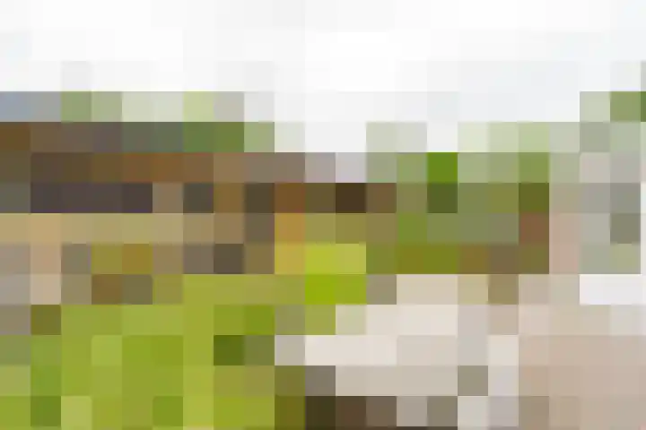 Sprokenpad 2 Amersfoort thumbnail 25