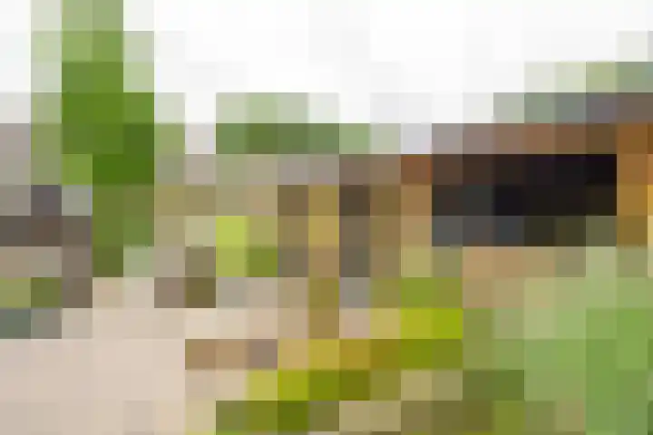 Sprokenpad 2 Amersfoort thumbnail 26