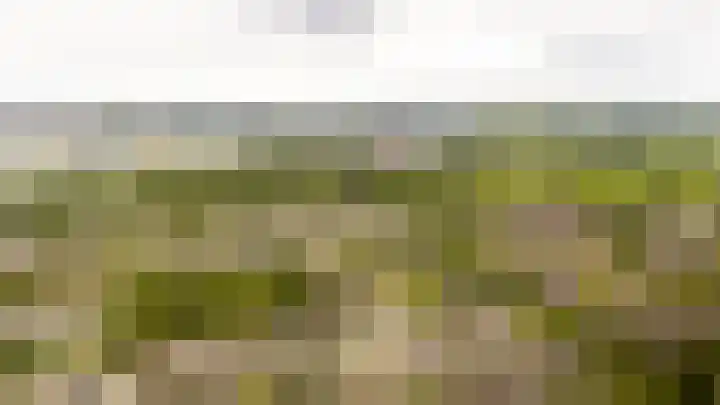 Sprokenpad 2 Amersfoort thumbnail 32
