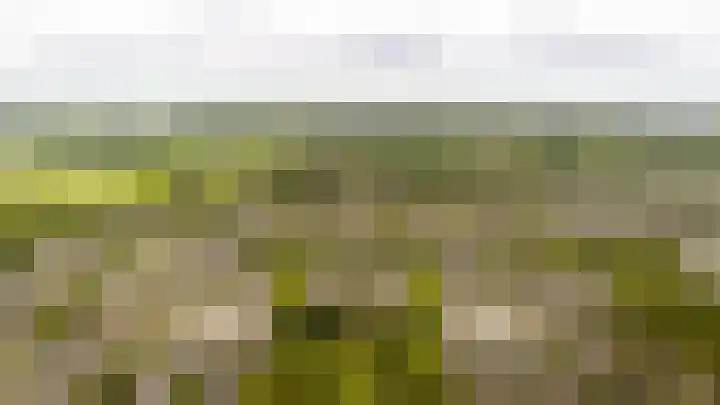 Sprokenpad 2 Amersfoort thumbnail 33