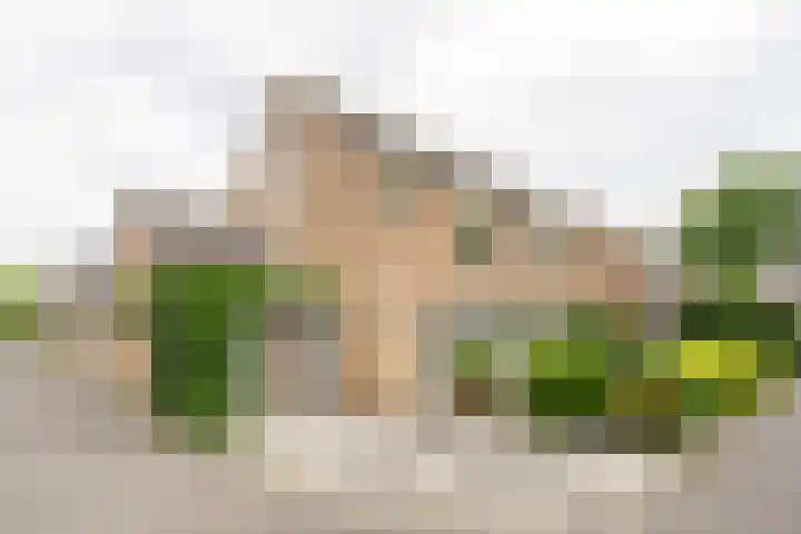 Sprokenpad 2 Amersfoort thumbnail 40