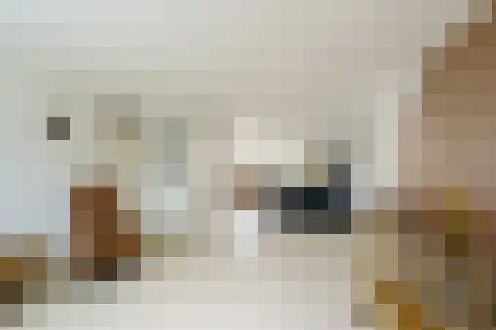 Sprokenpad 2 Amersfoort thumbnail 7