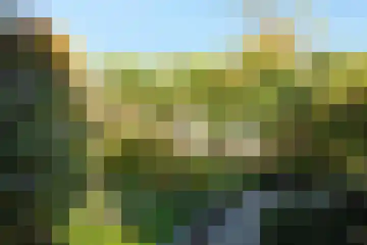 Sprokenpad 6 Amersfoort thumbnail 28