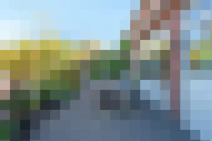 Sprokenpad 6 Amersfoort thumbnail 29