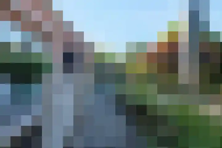 Sprokenpad 6 Amersfoort thumbnail 31