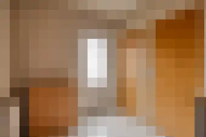 Sprokkelveld 32 Milsbeek thumbnail 20