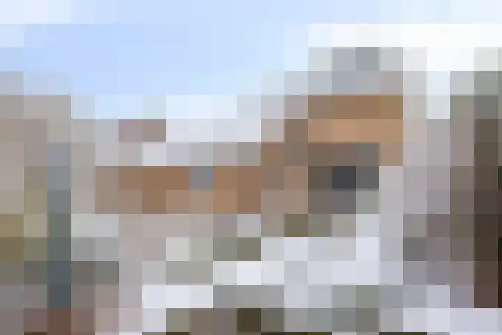 Sprokkelveld 32 Milsbeek thumbnail 34