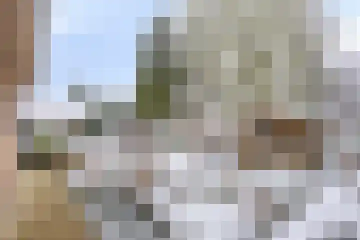 Sprokkelveld 32 Milsbeek thumbnail 36