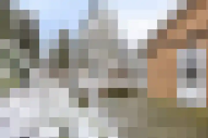 Sprokkelveld 32 Milsbeek thumbnail 37
