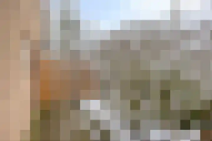 Sprokkelveld 32 Milsbeek thumbnail 40