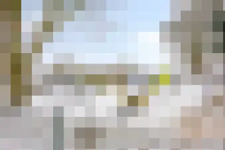 Sprokkelveld 32 Milsbeek thumbnail 43