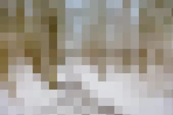 Sprokkelveld 32 Milsbeek thumbnail 45