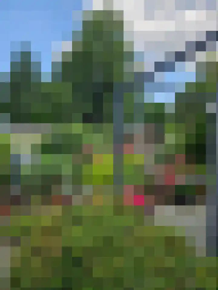 Sprokkelveld 32 Milsbeek thumbnail 47