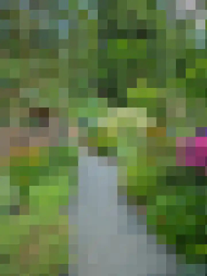 Sprokkelveld 32 Milsbeek thumbnail 48