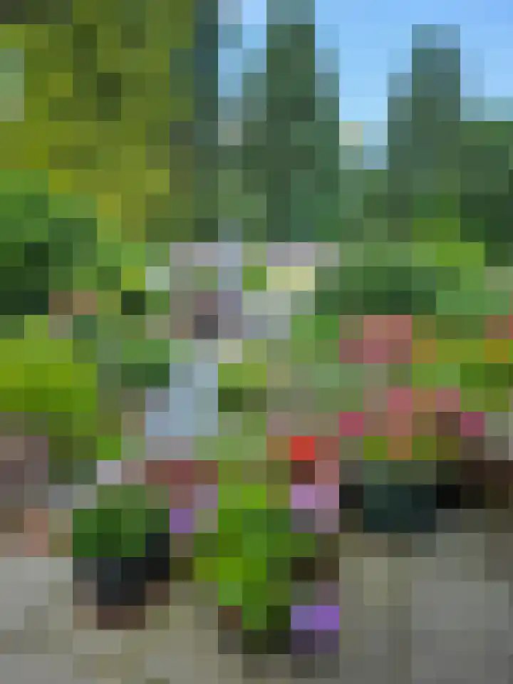 Sprokkelveld 32 Milsbeek thumbnail 49