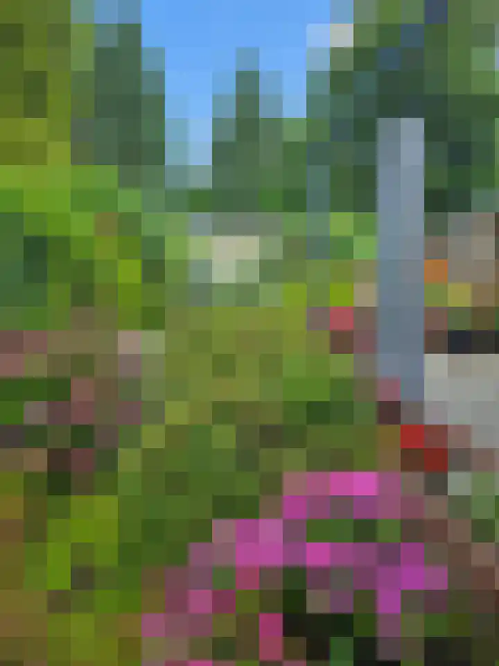 Sprokkelveld 32 Milsbeek thumbnail 50