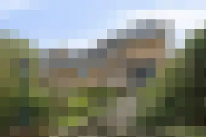 Sprokkelveld 32 Milsbeek thumbnail 51