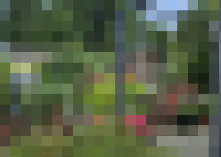 Sprokkelveld 32 Milsbeek thumbnail 6