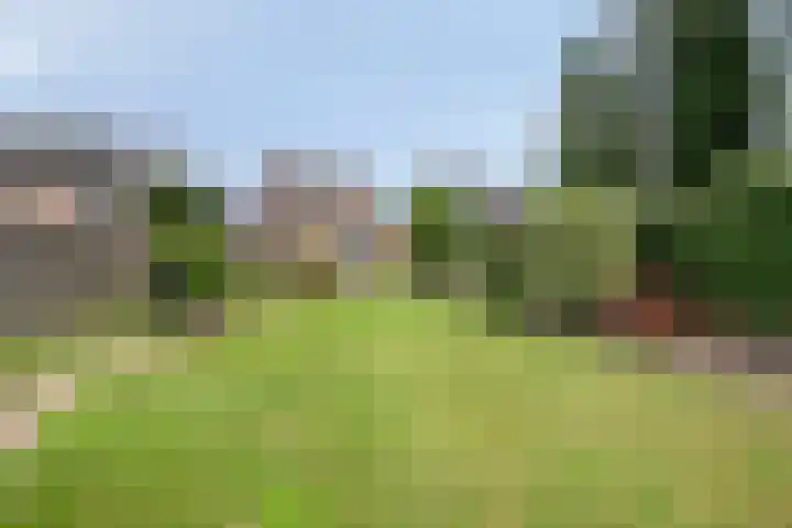 Sprokkelveld 39 Milsbeek thumbnail 28